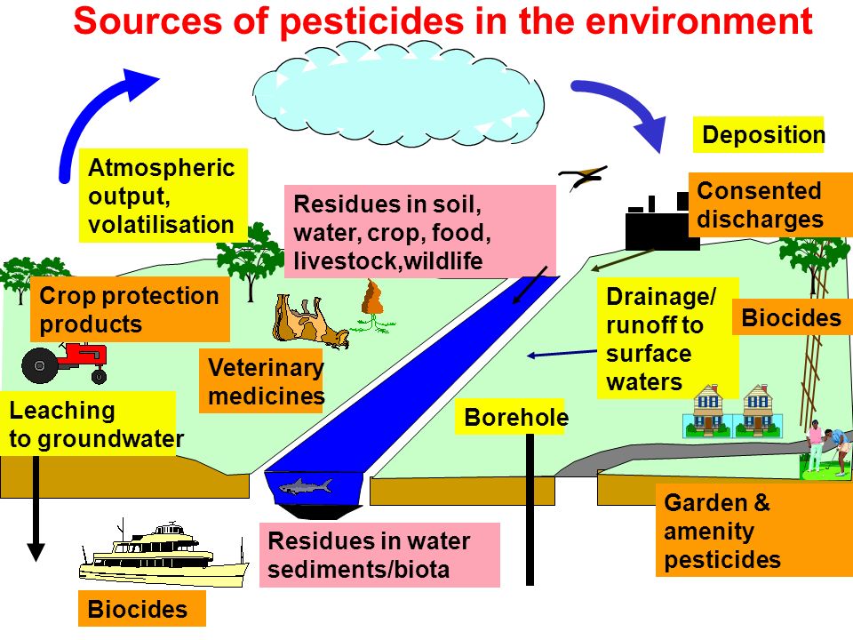 An analysis of biotechnological pesticides in environment